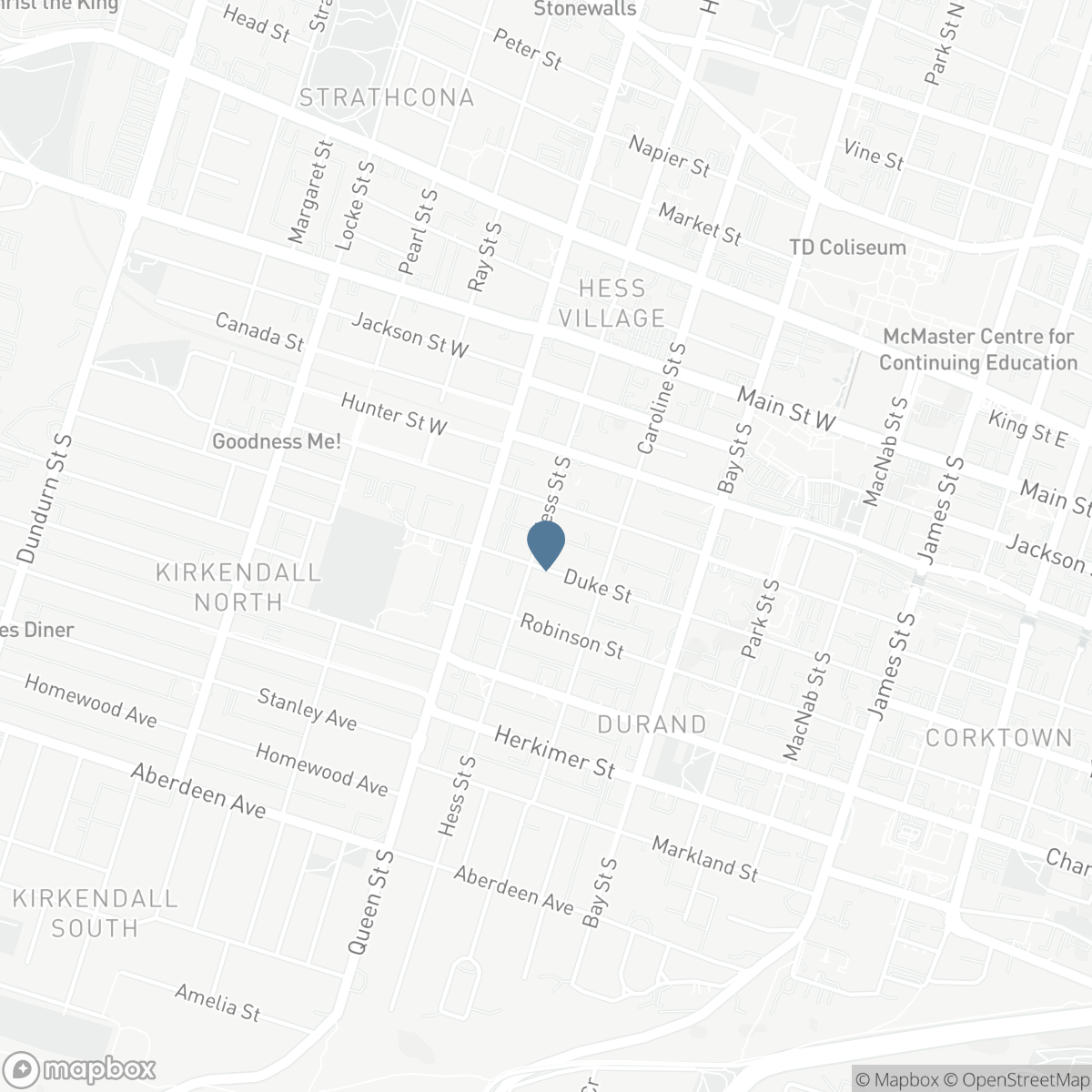 163 HESS STREET S, Hamilton, Ontario L8P 3N8